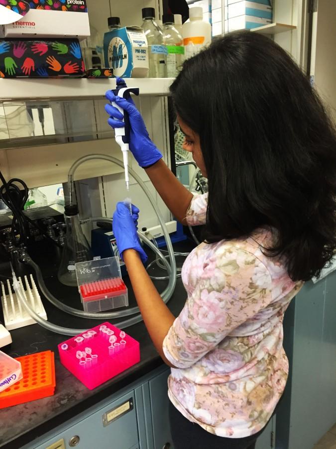 Senior+Sahiti+Alavala+works+at+her+UConn+Health+Center+internship%2C+transferring+a+protein+to+a+micro+tube.+Alavala+took+part+in+the+program+last+summer.