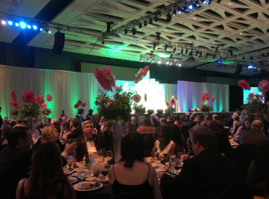 Happy to help-- Community members fill the tables at Connecticut Children’s Medical Center (CCMC)
during the gala. Members from the InterAct club volunteered at the gala to help children receive a higher
level of medical care