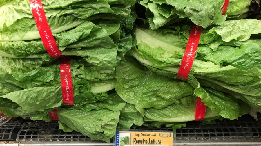 Watch what you eat-- Romaine lettuce is displayed on a shelf at a supermarket in California in November, during an E. coli outbreak traced to contaminated lettuce. The CDC says a new outbreak had made lettuce dangerous to eat, just in time for Americas most food centric holiday.
