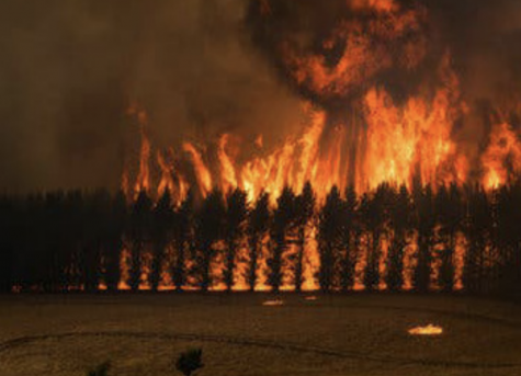 Raging destruction -- Countless acres of forest in Australia are destroyed in a fire. Australia experienced rapidly growing wildfires
throughout the months of December and January. 
